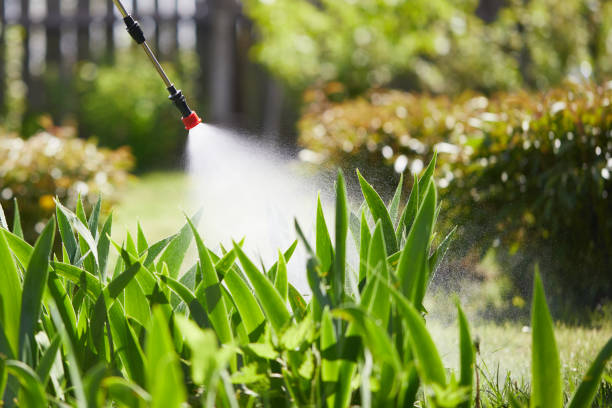 24/7 Emergency Wasp Removal experts in Ramseur, NC