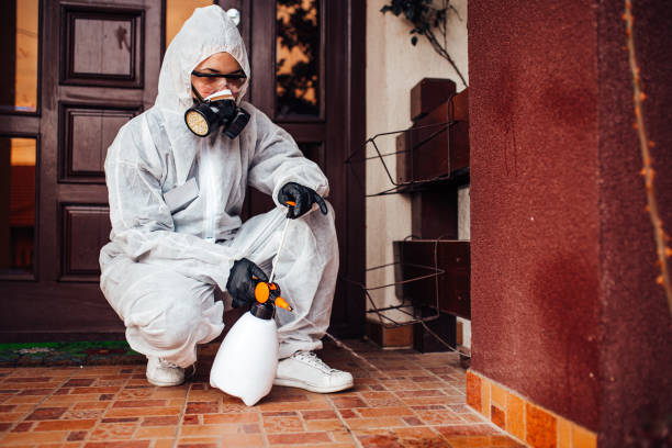 Reliable Wasp Removal contractor in Ramseur, NC by Show Me Pest Control