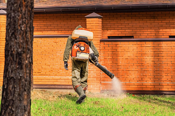 Top rated local Wasp Removal specialists in Ramseur, NC